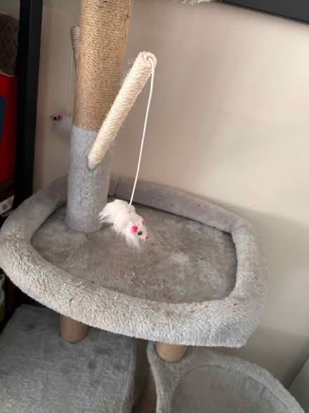 Photo of free Cat tree (RG30, Reading West) #2