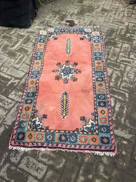 Photo of free rug (chiswick) #1
