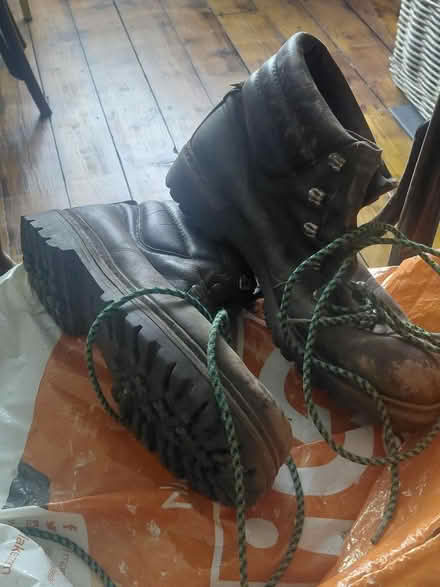 Photo of free Walking boots size 9 (Stafford ST17) #1