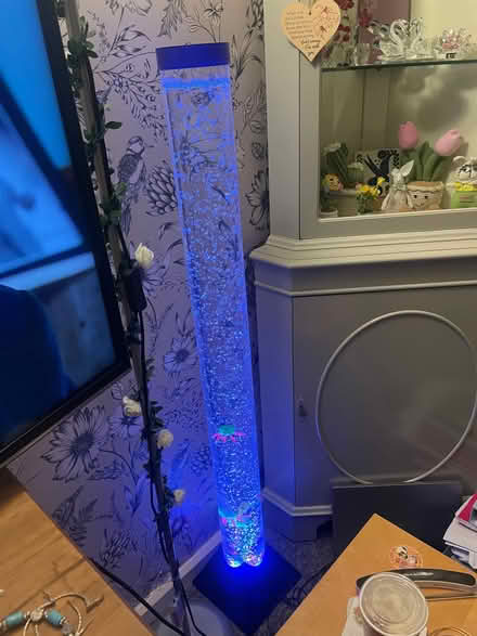 Photo of free Sensory bubble lamp with fish (Southdown) #2