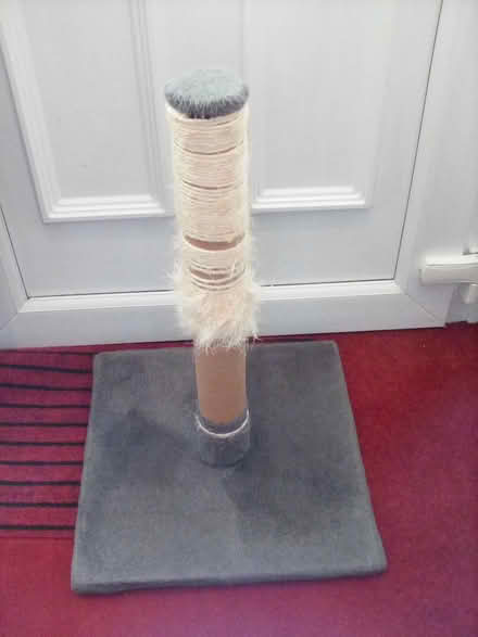 Photo of free Well used cat scratching post (BD18) #1