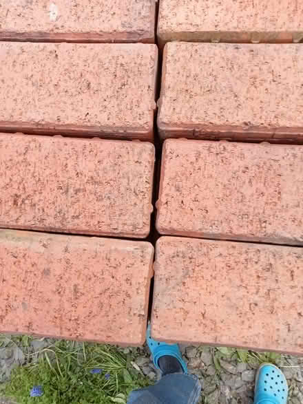 Photo of free Paving bricks (Frankwell SY3) #2