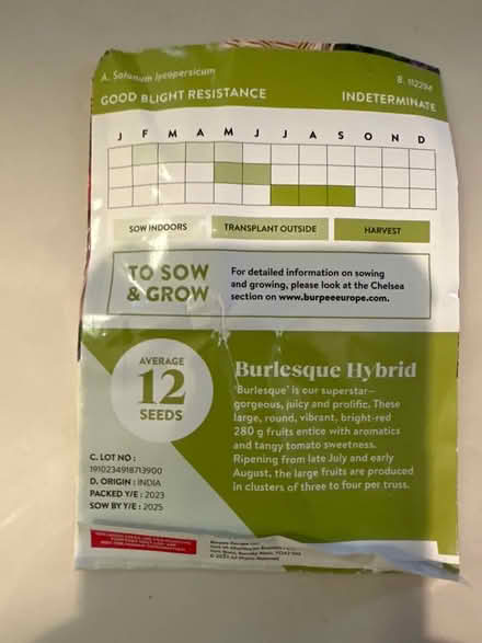 Photo of free Tomato seeds (CO4 9 Colchester) #2