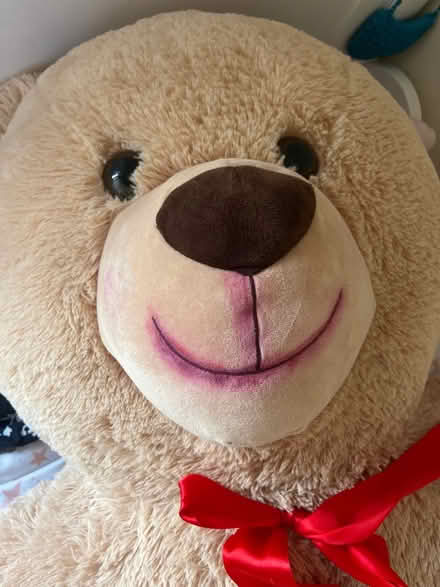Photo of free Huge tedy bear (Brentford) #3