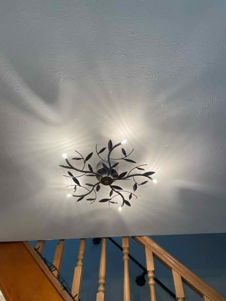 Photo of free Feature light fittings (Hinckley CV13) #2