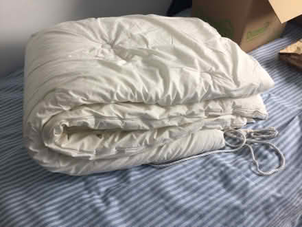 Photo of free Duvet (Hove BN3) #2