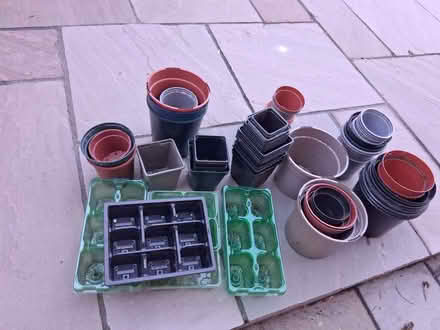 Photo of free Job lot of plant pots (Elrick AB32) #1