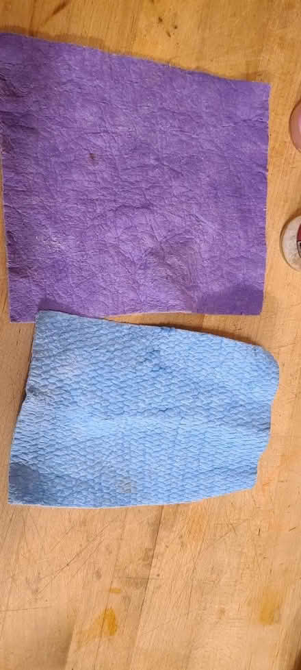 Photo of free Sponge cloths (South beacon hill) #1