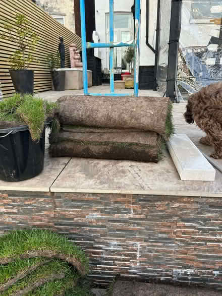 Photo of free Garden turf (Wallasey CH45) #1