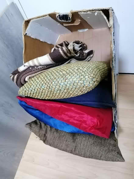 Photo of free Cusions and rug S1 (sheffield S1) #4