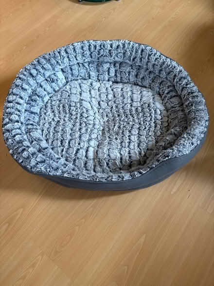 Photo of free Pet bed (Turnford EN10) #1