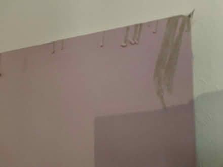 Photo of free Sheet of plasterboard (South Tonbridge) #2