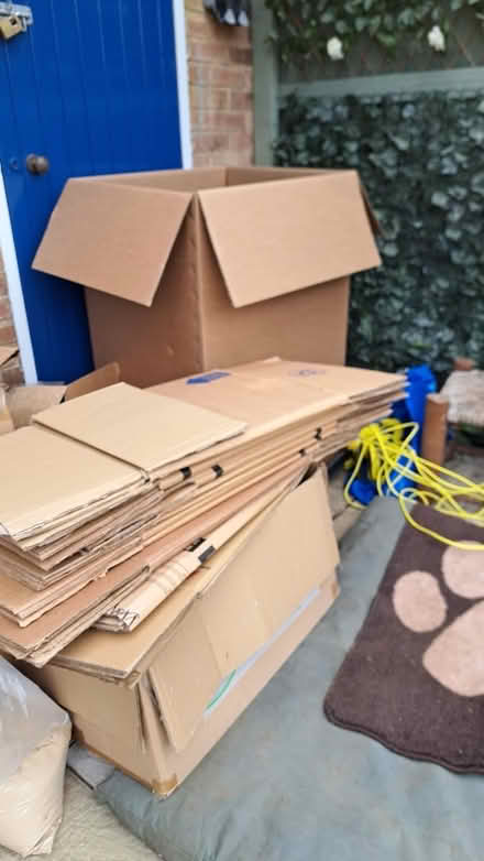 Photo of free Moving boxes (Normandy GU3) #1