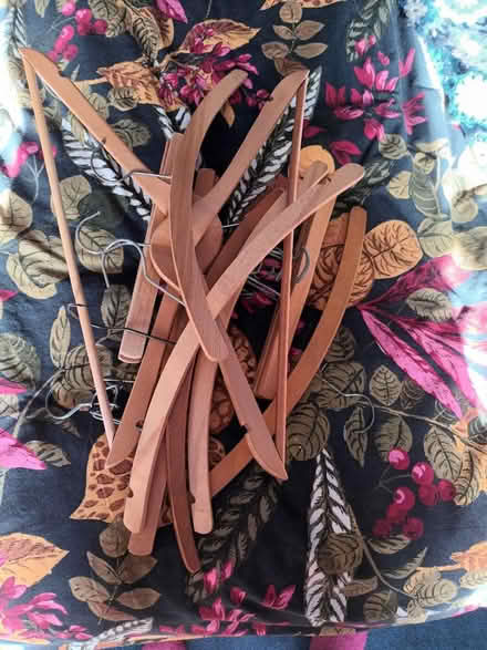 Photo of free Coathangers (Frankwell SY3) #1