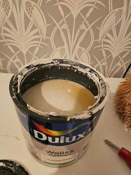 Photo of free Dulux silk emulsion : Nutmeg White (Warmley) #2
