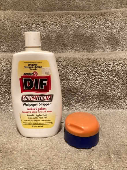 Photo of free Wallpaper stripper & tool (Sauganash park) #1