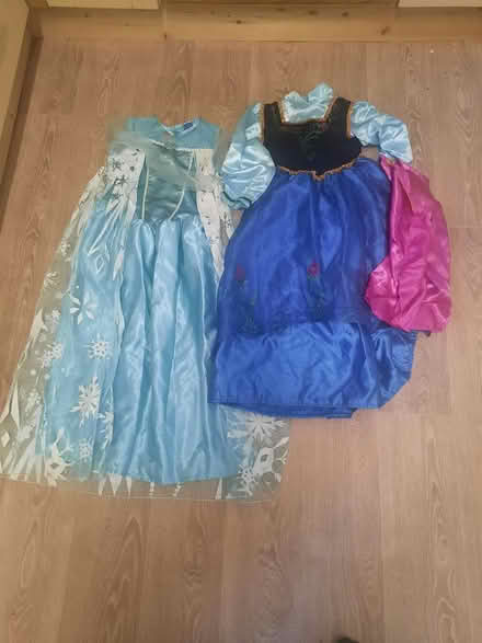 Photo of free Else and Anna dress up (Burgess Hill) #1