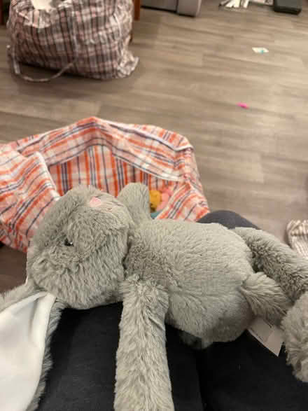 Photo of free easter bunny (Wandsworth SW18) #2