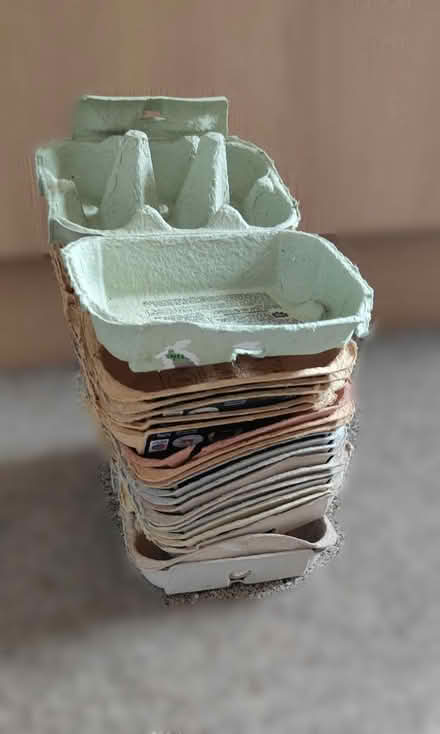 Photo of free Egg Boxes (Chelsea, SW10) #2