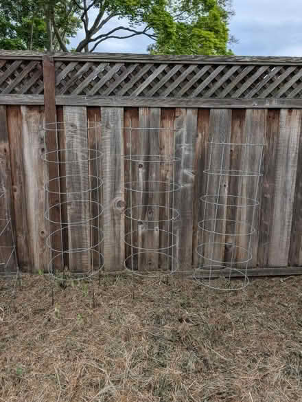 Photo of free 6 tomato cages (near Palo Alto High School) #2