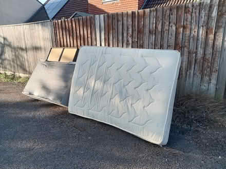 Photo of free Big beds (Arle GL51) #2