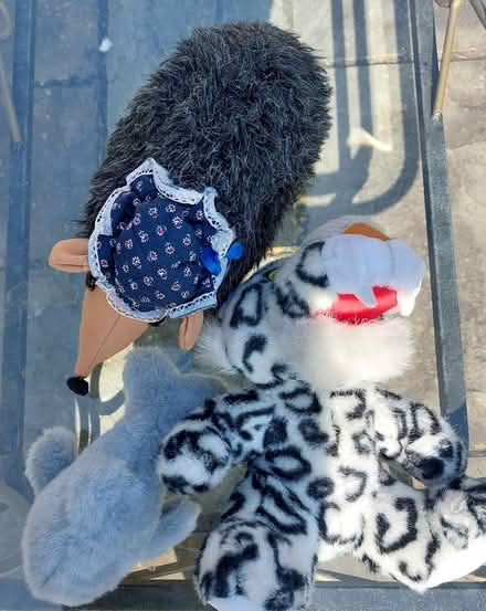 Photo of free Soft Toys (Orpington BR6) #1