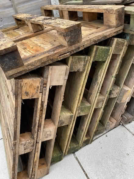 Photo of free Wooden pallets (Oakdale BH15) #4