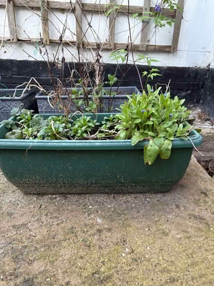 Photo of free Four long window box style planters (Royal Leamington Spa CV31) #2