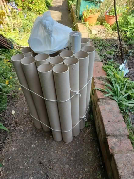 Photo of free Cardboard tubes (Exmouth ex8 1rx) #1