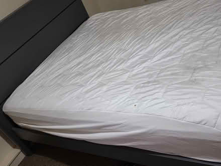 Photo of free Double divan (Albert Park M20) #2