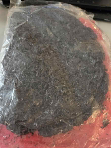 Photo of free Not sure what this is (Richmond Hill) #1