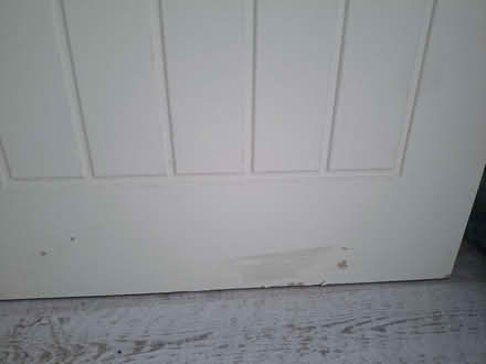 Photo of free Internal door (PE19) #3