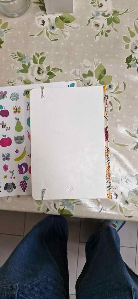 Photo of free Two notebooks (Putney sw15) #2