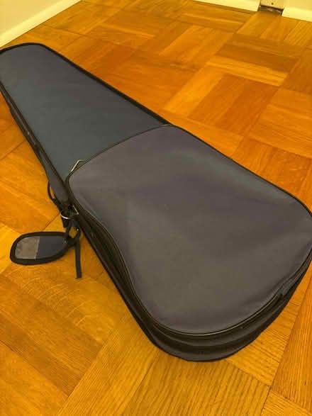 Photo of free Violin case (Widcombe) #3