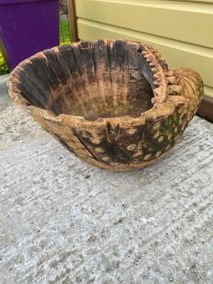 Photo of free She’ll pot (Hitchin SG4) #2