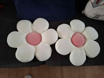 Photo of free 2 flowers cushions (Hanworth TW13) #1