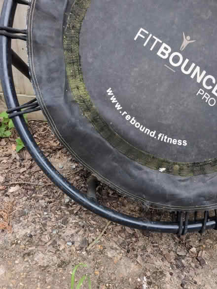 Photo of free Mini trampoline (Romford RM2) #2