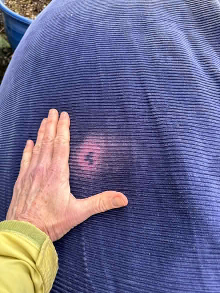 Photo of free Oversized foam filled ‘bean’ bag (Beverly to gloucester) #3