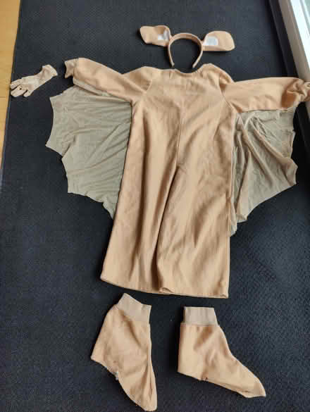 Photo of free Homemade costumes + carrier (Mountain View) #1
