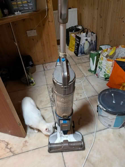 Photo of free Cordless vac (Almondbury Bank HD5) #1