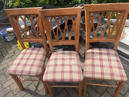 Photo of free Dining chairs (Cowley OX4) #1