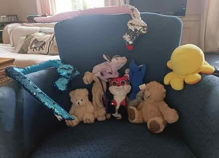 Photo of free Soft toys (EH3 Canonmills) #1