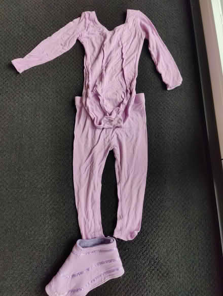 Photo of free Homemade costumes + carrier (Mountain View) #3