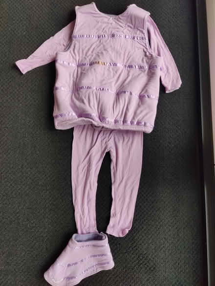 Photo of free Homemade costumes + carrier (Mountain View) #2