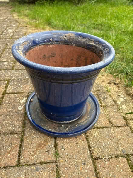 Photo of free Porcelain pot and plate (West Winch PE33) #1