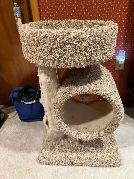 Photo of free Kitty condo (Kennedy road stop & shop,) #3