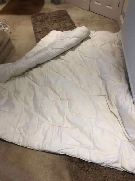 Photo of free Winter weight double duvet (dog bed?) (Wood Farm OX3) #2
