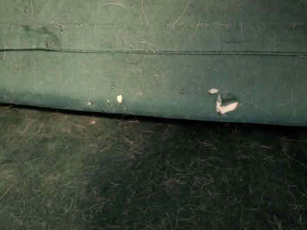 Photo of free Green Velvet Sofa Bed/ Futon (Kingston KT1) #4