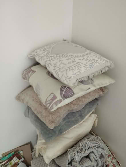 Photo of free Cushions (Brightlingsea CO7) #2