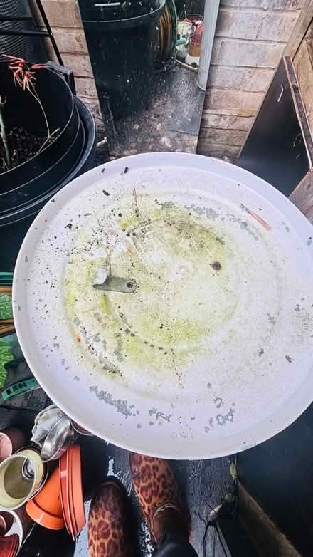 Photo of free White bin (Wimbledon SW19) #1